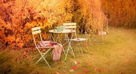 Creating a Cozy Movie-Night Nook for Fall